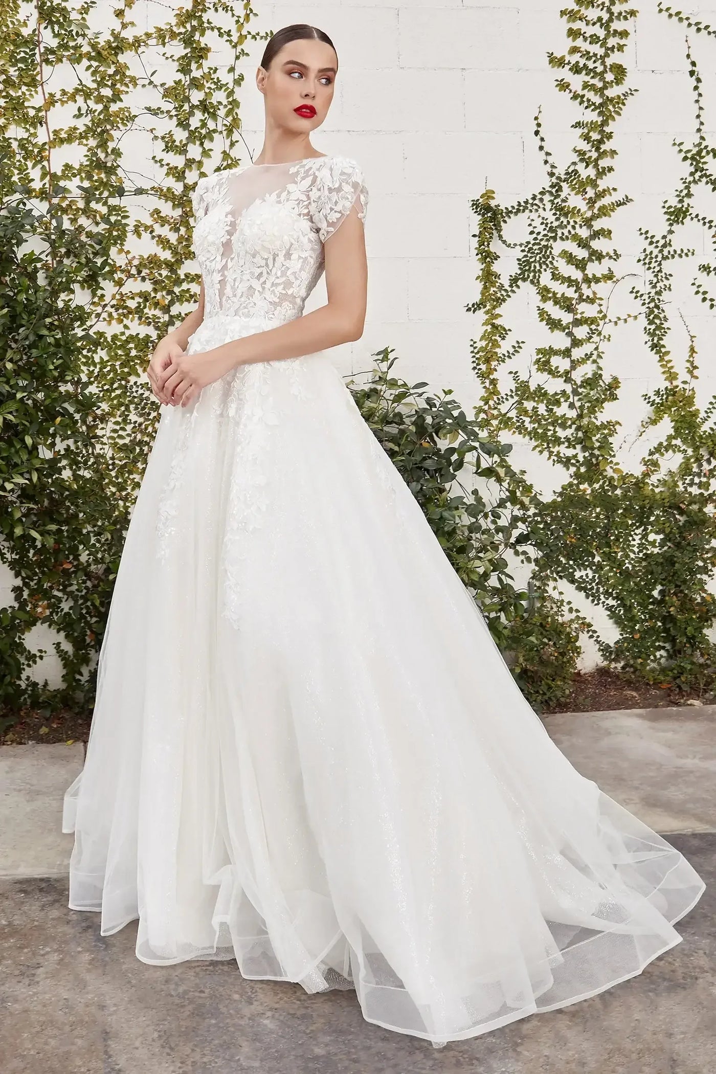 A1082W - CATHERINE CAP SLEEVE LACE BALL GOWN - Andrea & Leo