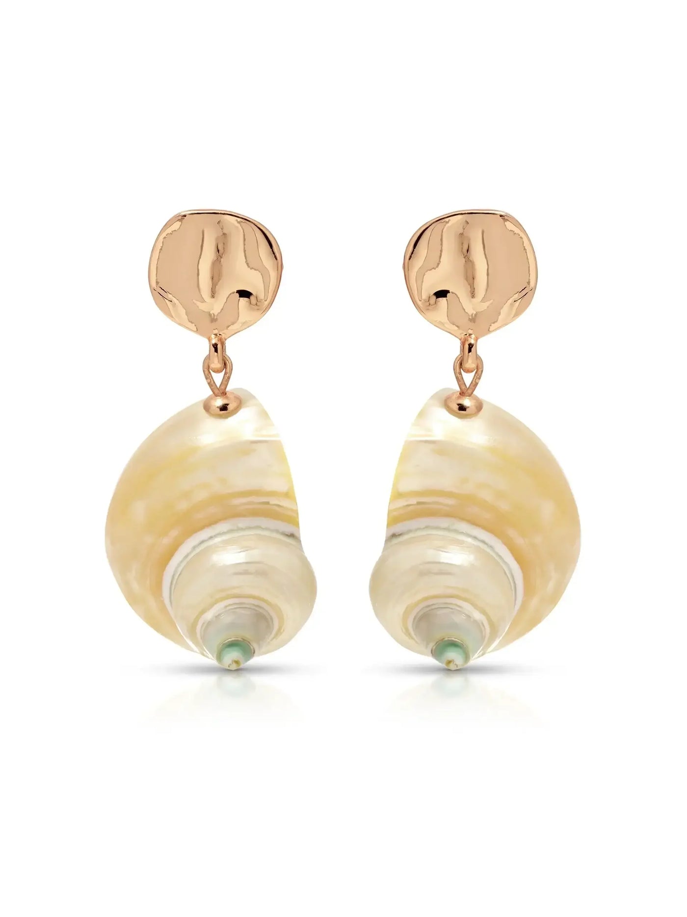 Sunken Treasure Shell Earrings