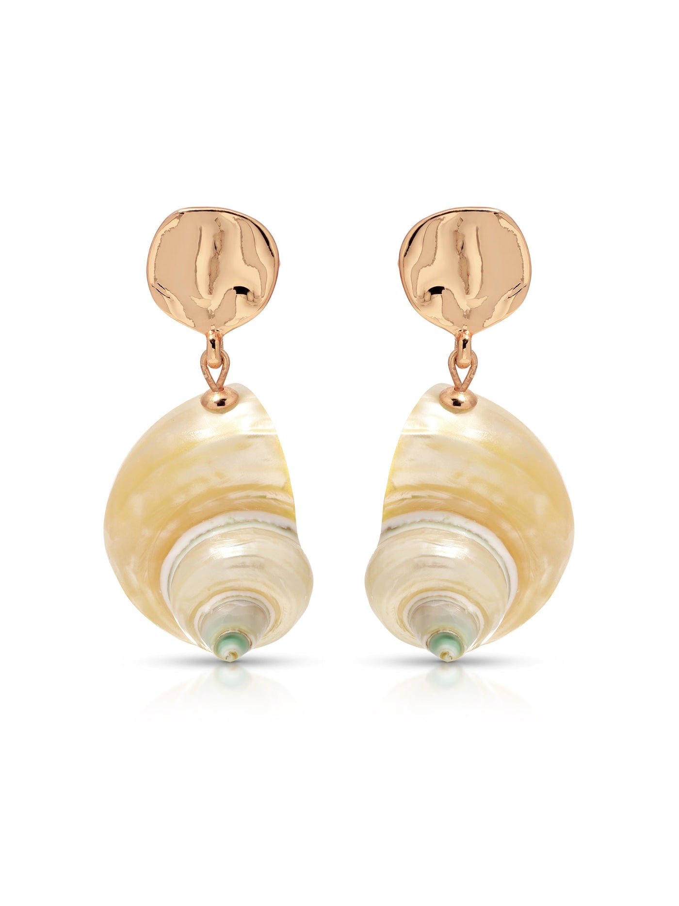Sunken Treasure Shell Earrings