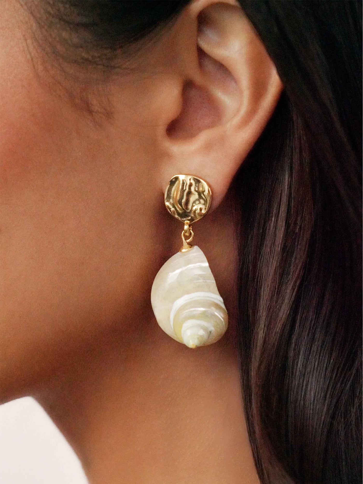 Sunken Treasure Shell Earrings