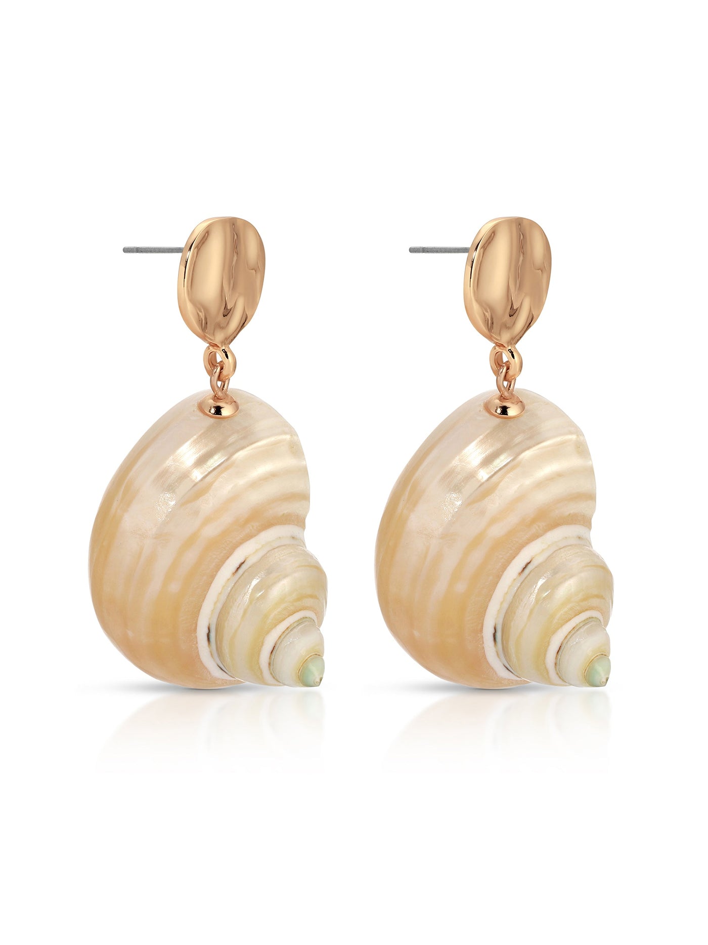 Sunken Treasure Shell Earrings