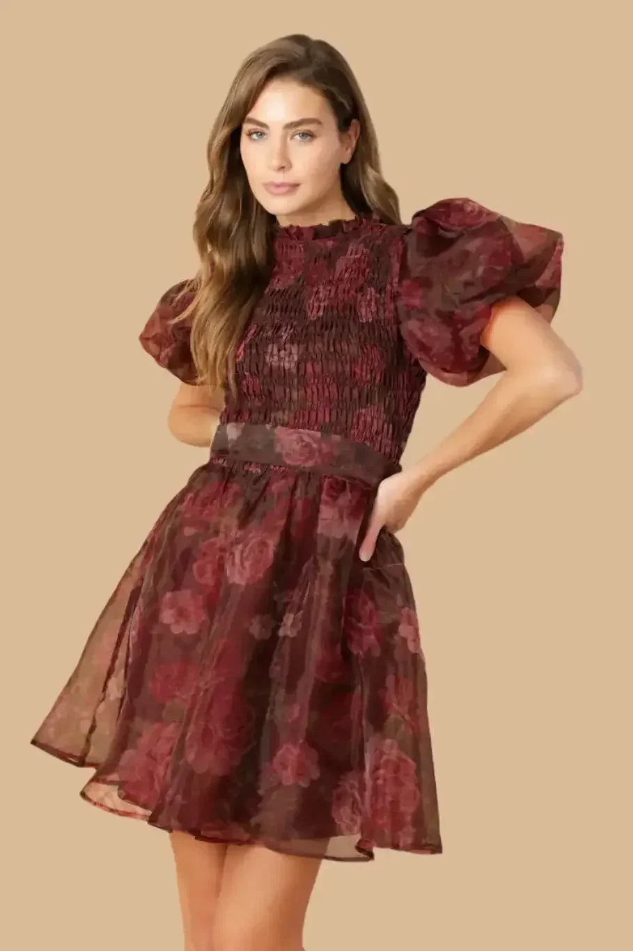 FLITTERING DREAMS WOVEN ORGANZA MINI DRESS