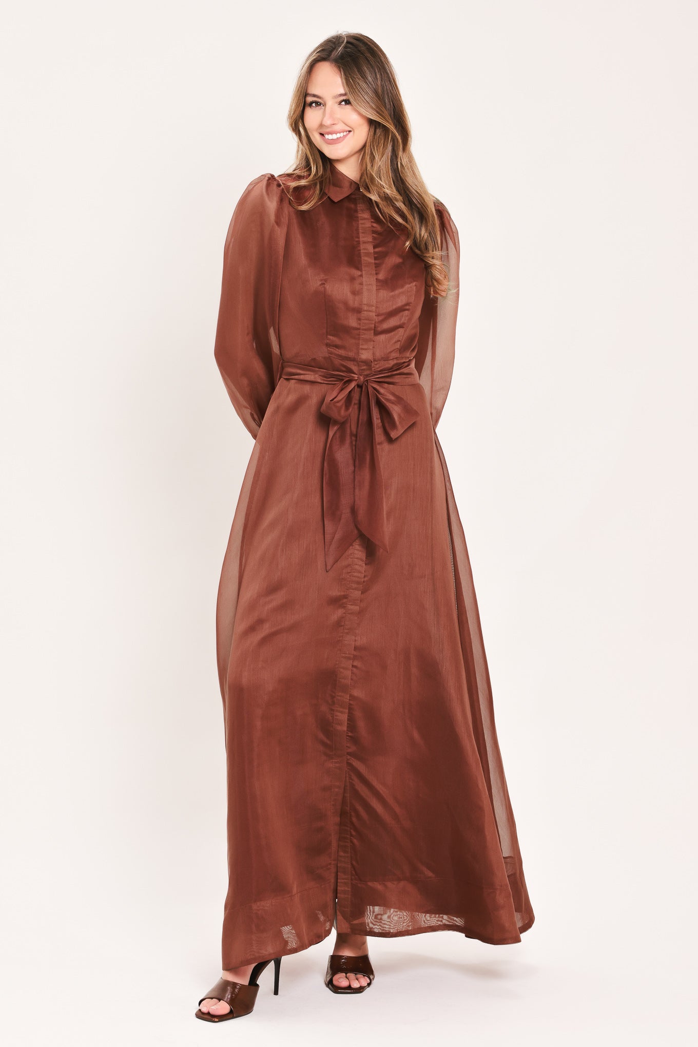 CEDARLIGHT EMBRACE - RUST ORGANZA MAXI DRESS
