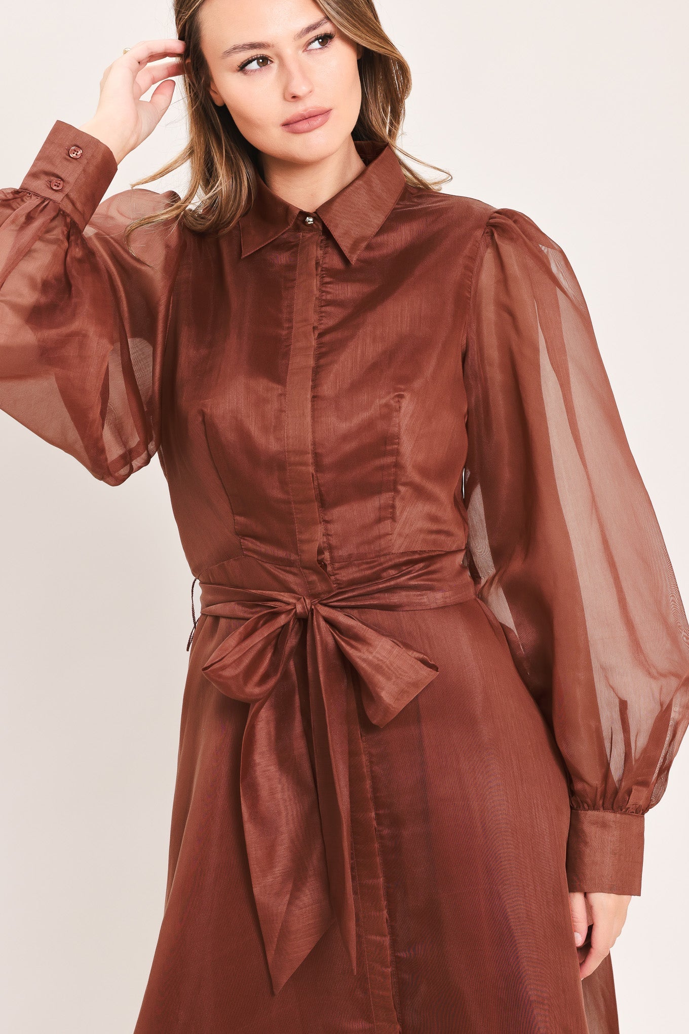 CEDARLIGHT EMBRACE - RUST ORGANZA MAXI DRESS