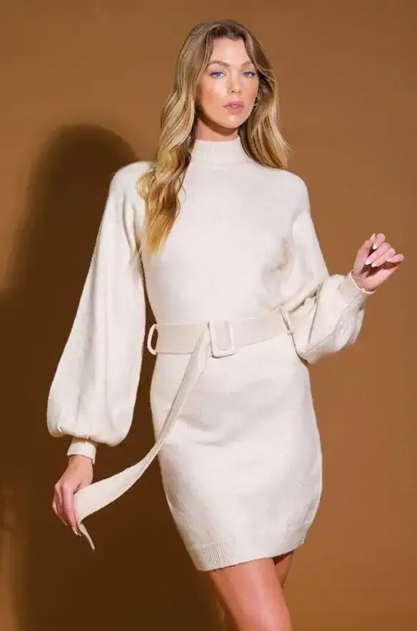 BIRCH GROVE MINI SWEATER DRESS