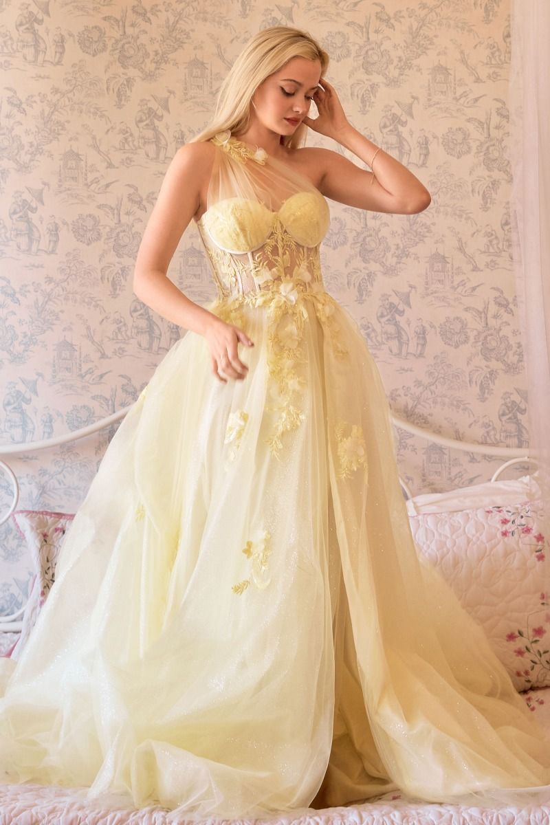 A1053 - Leila One Shoulder A-Line Tulle Gown - Andrea & Leo