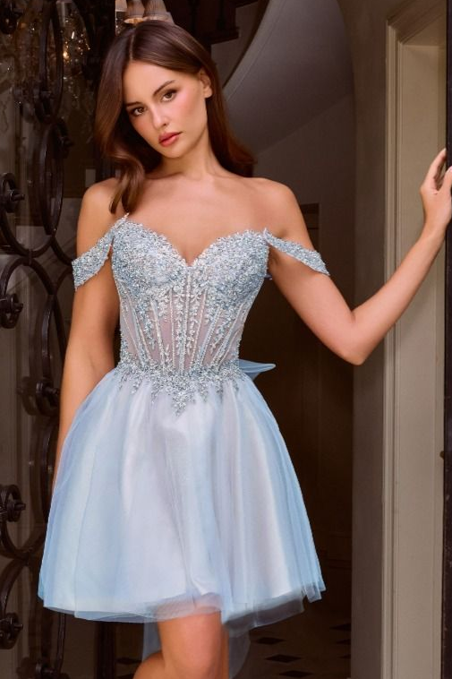 Carissa Mini Dress - Off Shoulder Tulle & Lace Short Dress