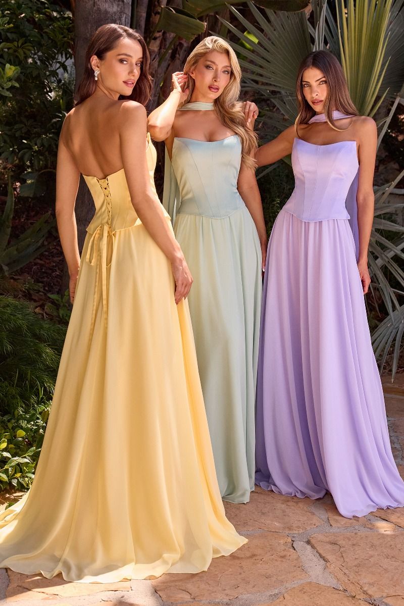 Lady Black Tie - Isabella Gown - Strapless Chiffon Dress With Scarf - Size 2 Lady Black Tie - Isabella Gown - Strapless Chiffon Dress With Scarf - Size 2