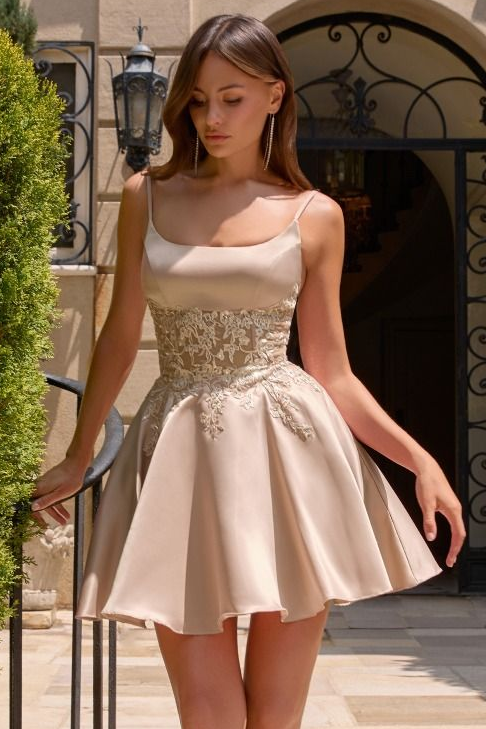 Rebel Mini Dress - Satin Fit & Flare Cocktail Dress | Ladivine CH2613 Champagne