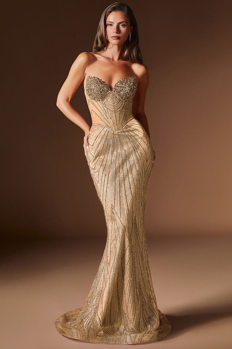 Rialto Gown - Fitted Dress with Sheer Corset Bodice