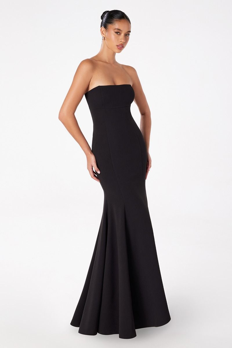 Poppy Maxi Dress - Strapless Fitted Dress