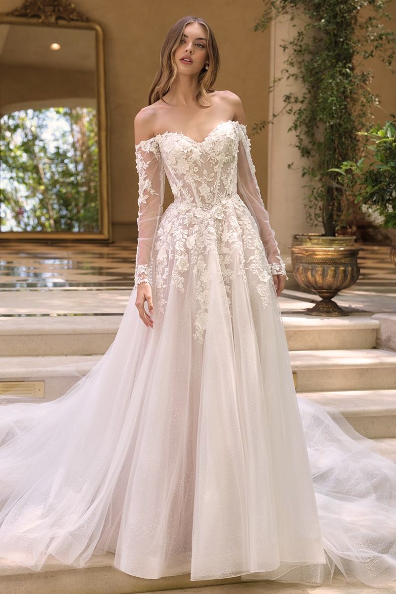 WL067 - Wedding Ball Gown with Sheer Sleeves - Andrea & Leo