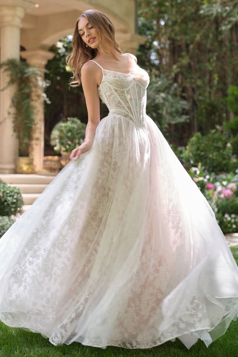 WL069 - Venus Lace Ball Gown - Andrea & Leo