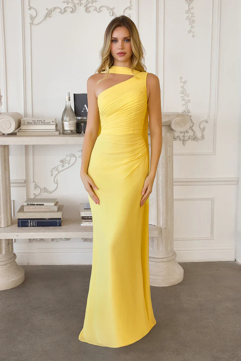 Chiffon Prom Dresses Redefined: The Timeless Elegance of the Melissa Gown