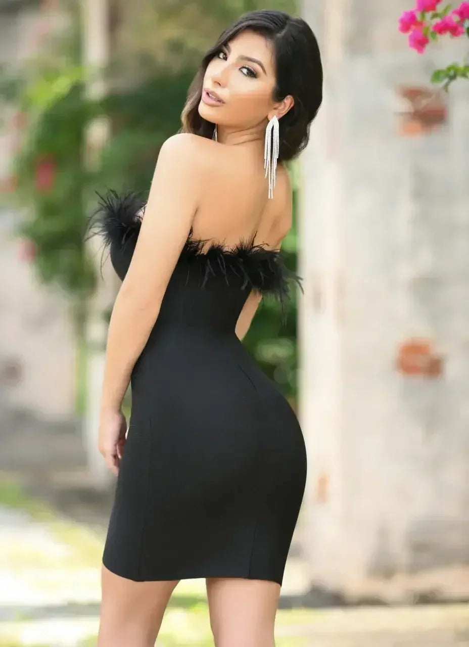 Black dress with feather accents at the neckline