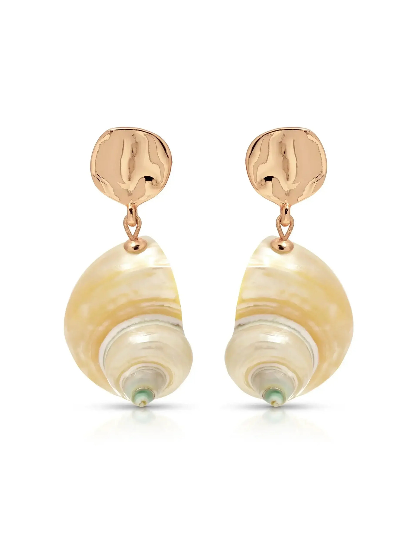 Sunken Treasure Shell Earrings