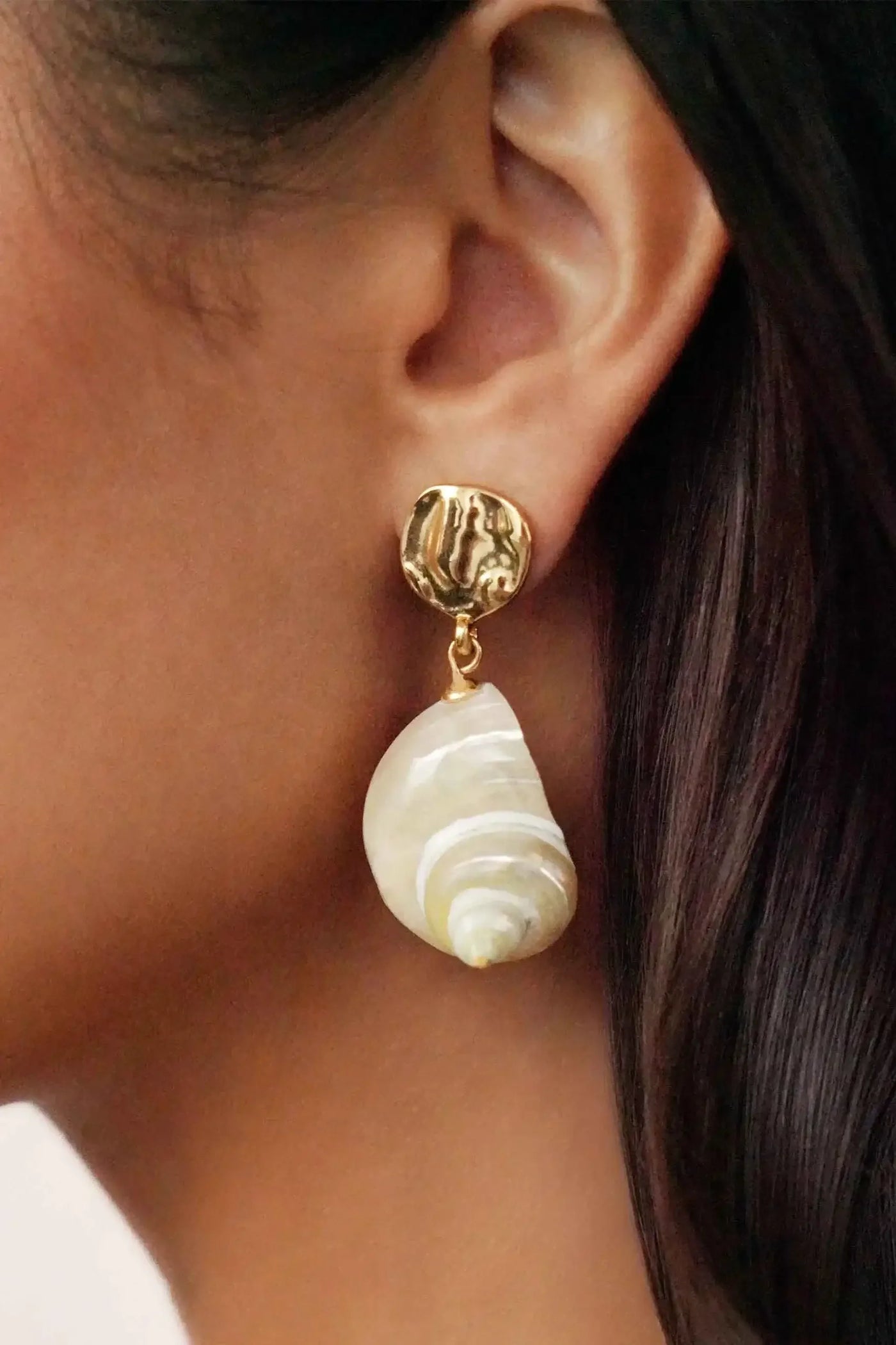 Sunken Treasure Shell Earrings