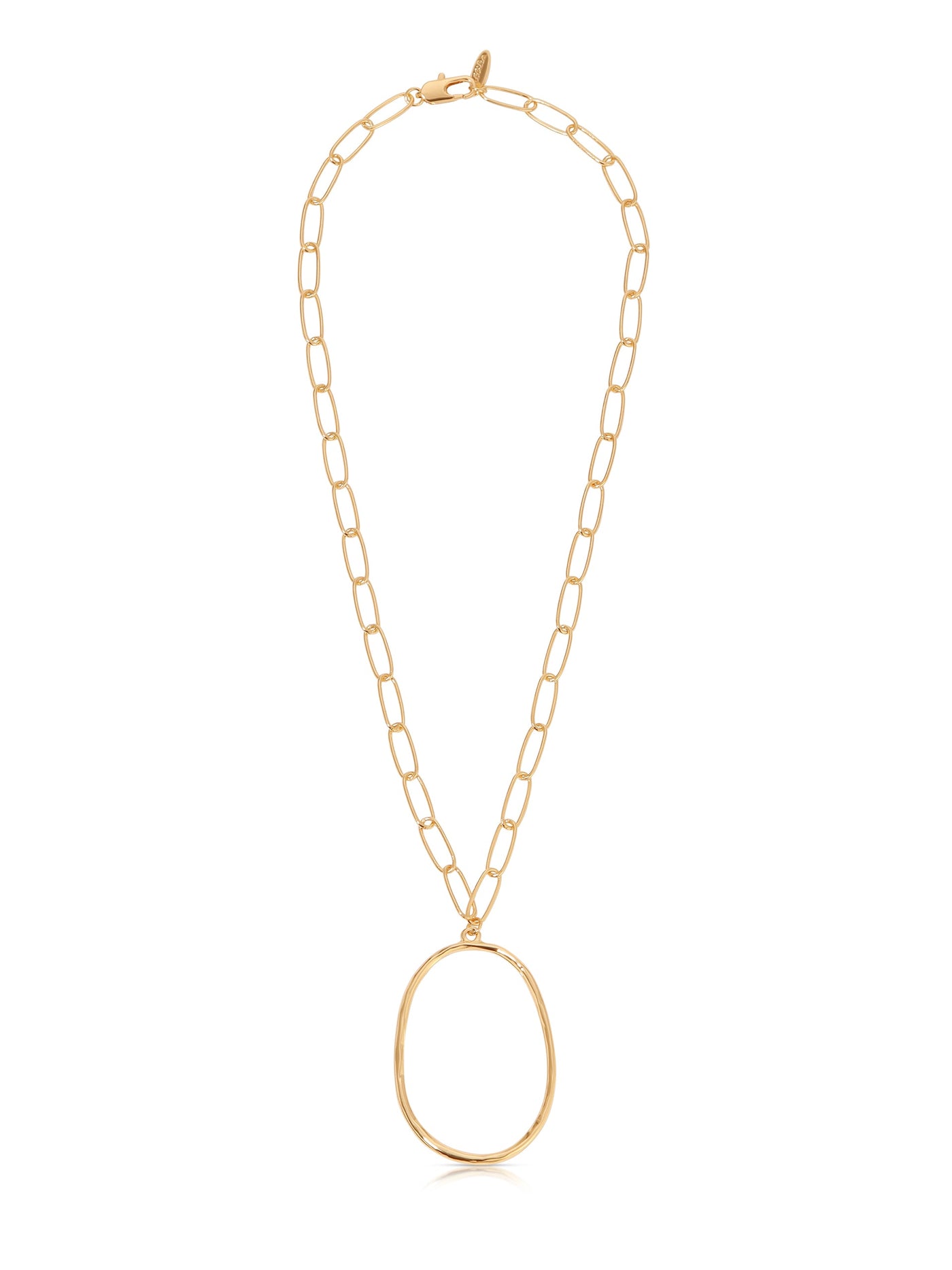 Large Oval Pendant Chain Link Necklace