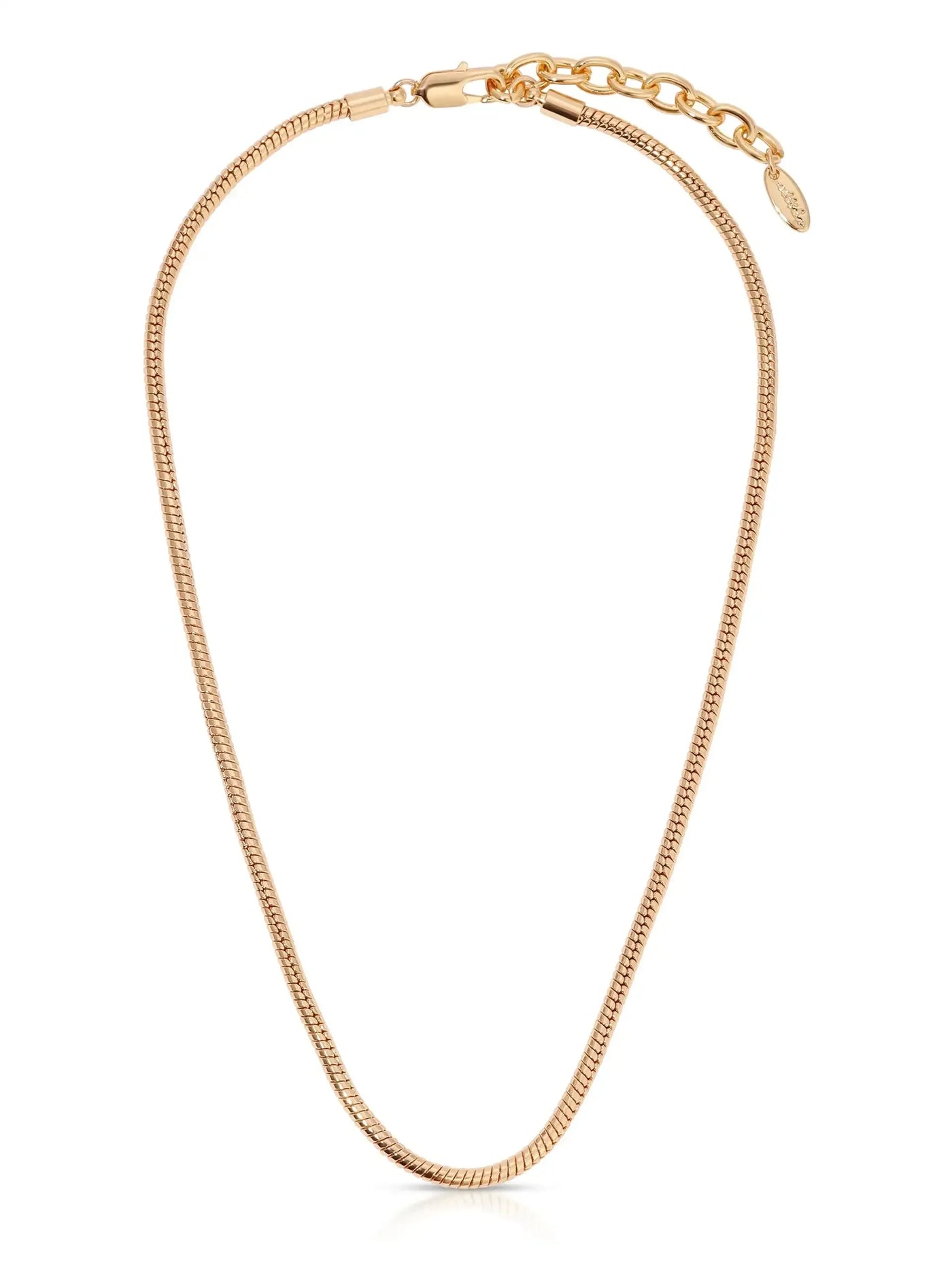 A gold-toned necklace features a smooth, flexible chain with a secure clasp and a small decorative tag, set against a plain, light background.