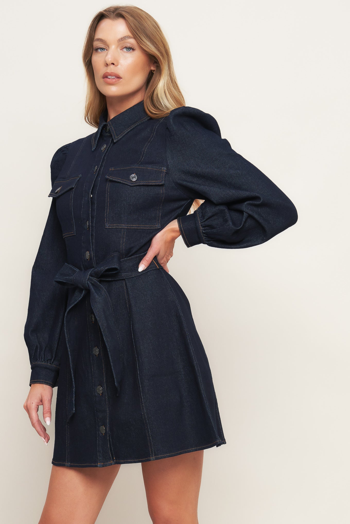 Autumn Days Dark Denim Mini Dress