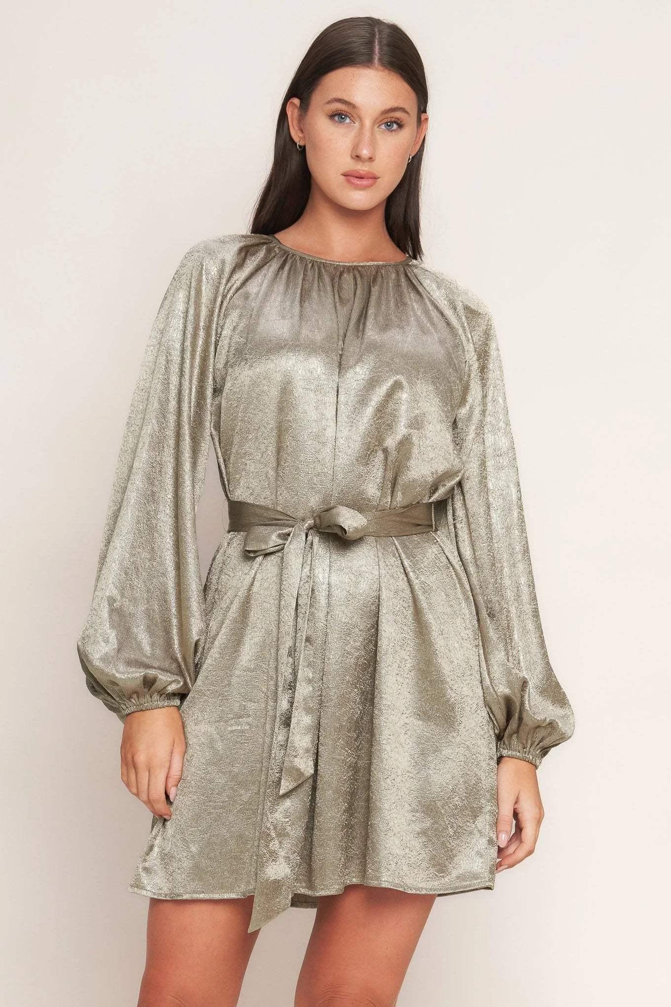 Metallic silver dress with long sleeves
