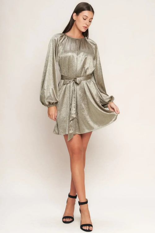 Metallic silver dress with long sleeves