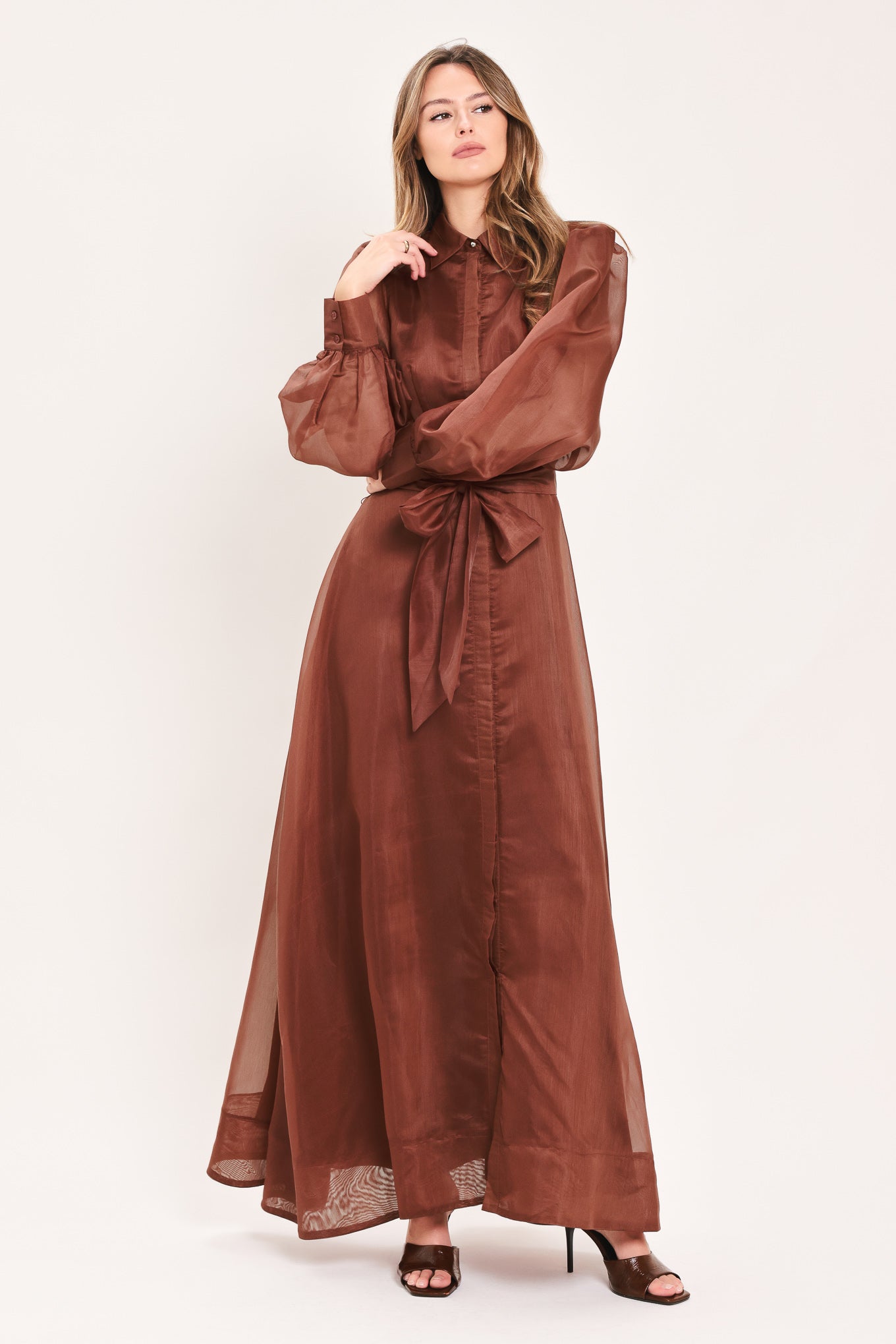 CEDARLIGHT EMBRACE - RUST ORGANZA MAXI DRESS