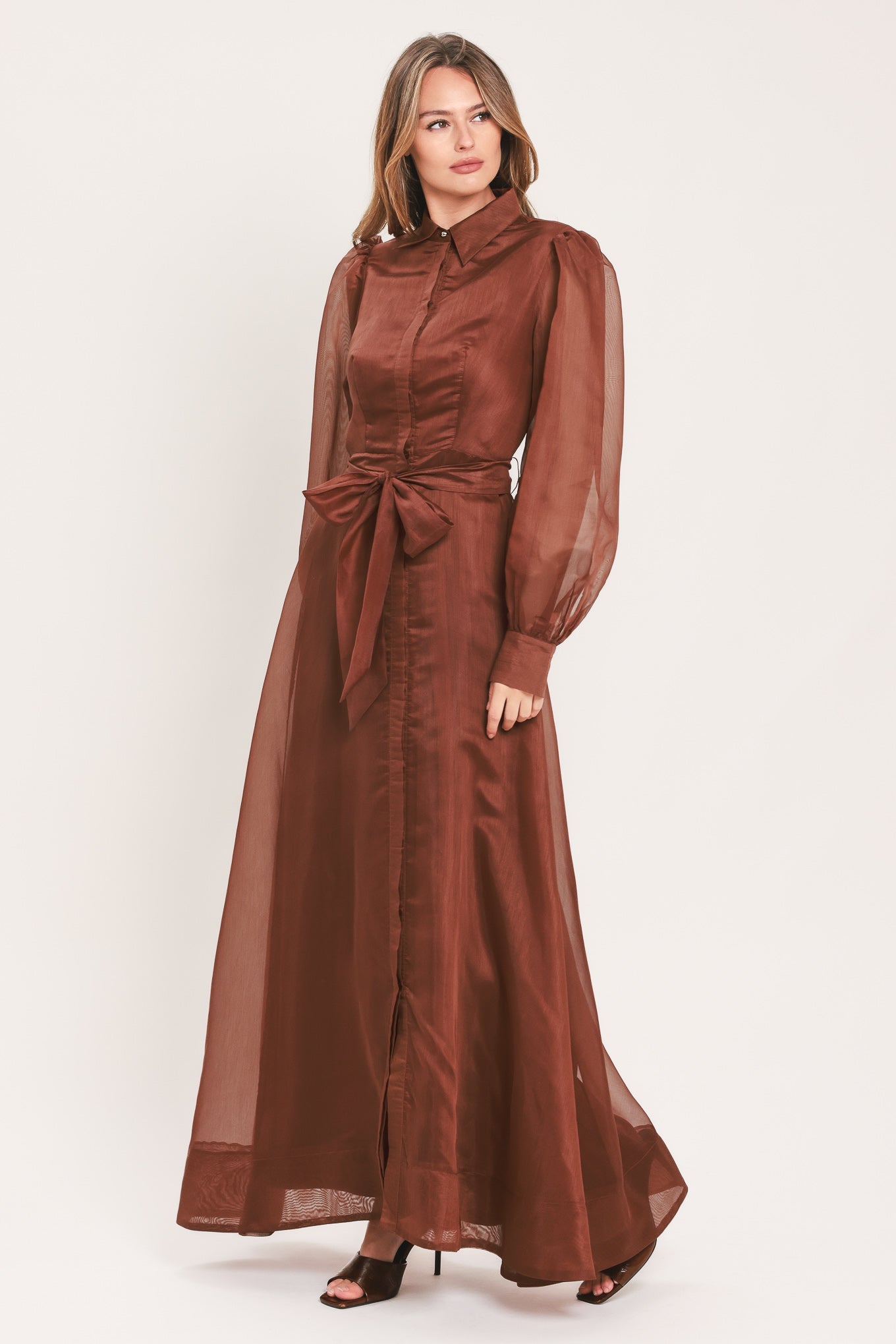 CEDARLIGHT EMBRACE - RUST ORGANZA MAXI DRESS