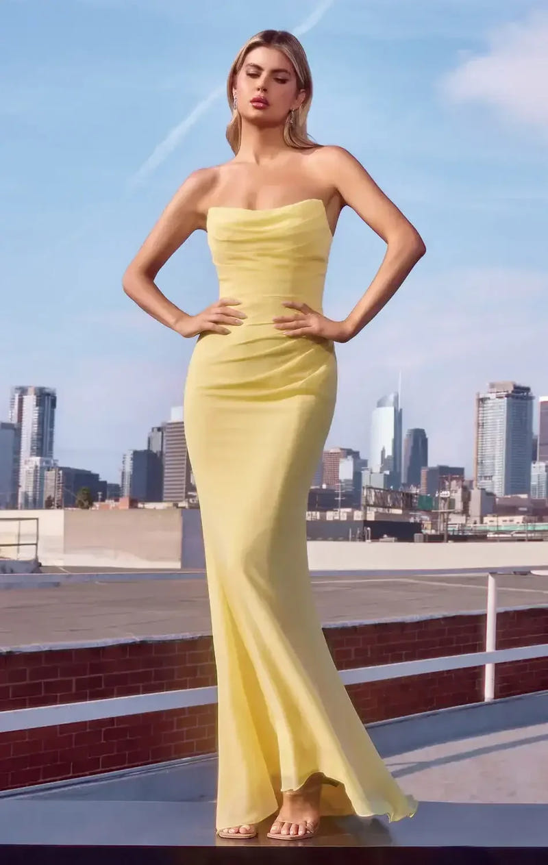 Haven Gown - Chiffon Fitted Long Strapless Dress