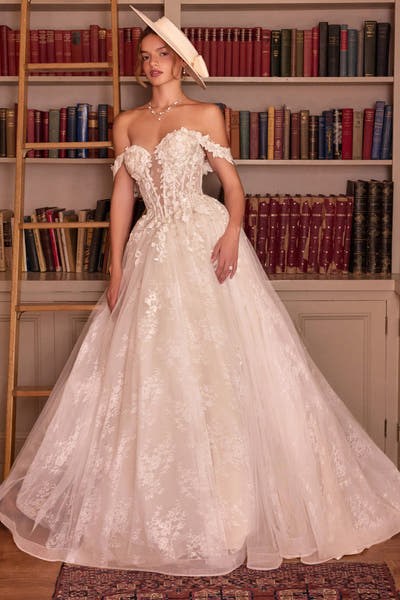 WL093 - Off Shoulder Bridal Ball Gown - Andrea & Leo