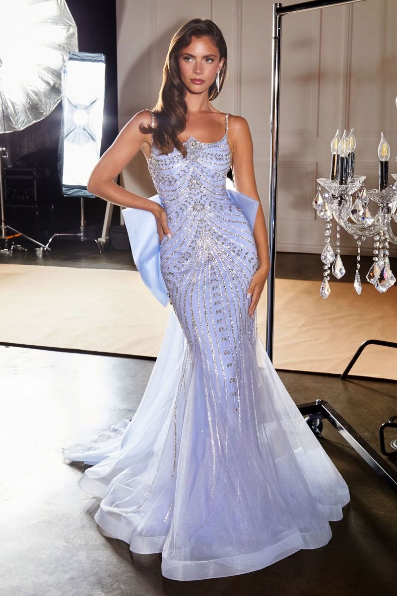 Rebekah Gown - Evening Dress with Detachable Bow Train