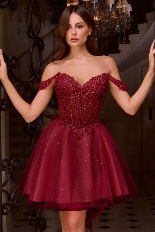 Carissa Mini Dress - Off Shoulder Tulle & Lace Short Dress