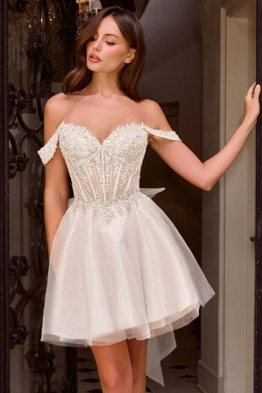 Carissa Mini Dress - Off Shoulder Tulle & Lace Short Dress
