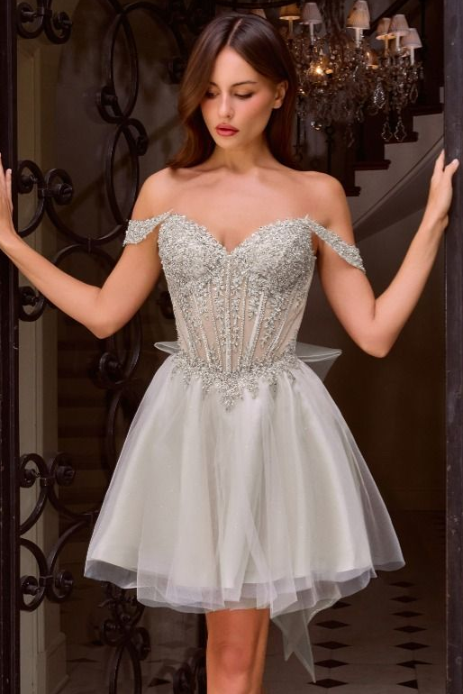 Carissa Mini Dress - Off Shoulder Tulle & Lace Short Dress