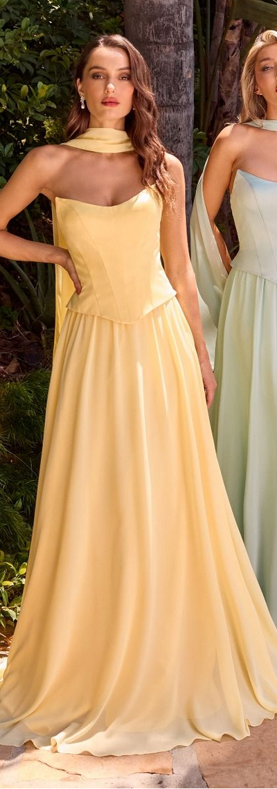 ISABELLA GOWN - STRAPLESS CHIFFON DRESS WITH SCARF