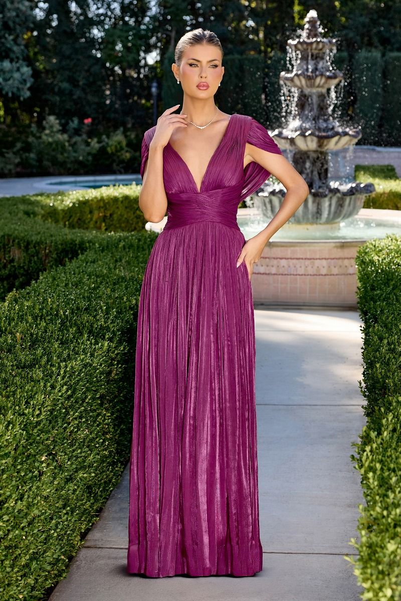 Astrid Gown - Draped Cap Sleeve Shimmer Chiffon Dress