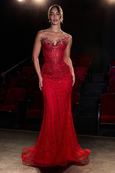 Ursula Gown - Mermaid Dress With Illusion Bodice