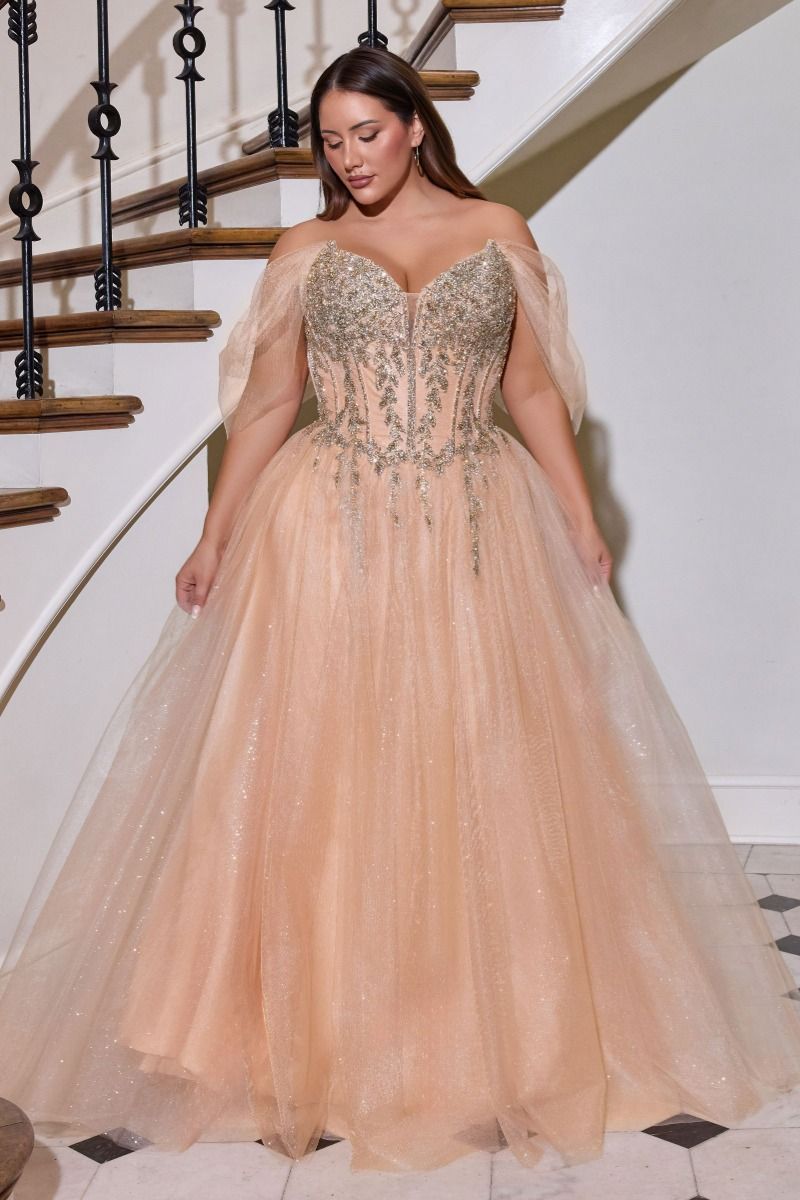 Lady Black Tie - Jolia Gown - A-line Corset Tulle Dress - Size 4 Lady Black Tie - Jolia Gown - A-line Corset Tulle Dress - Size 4