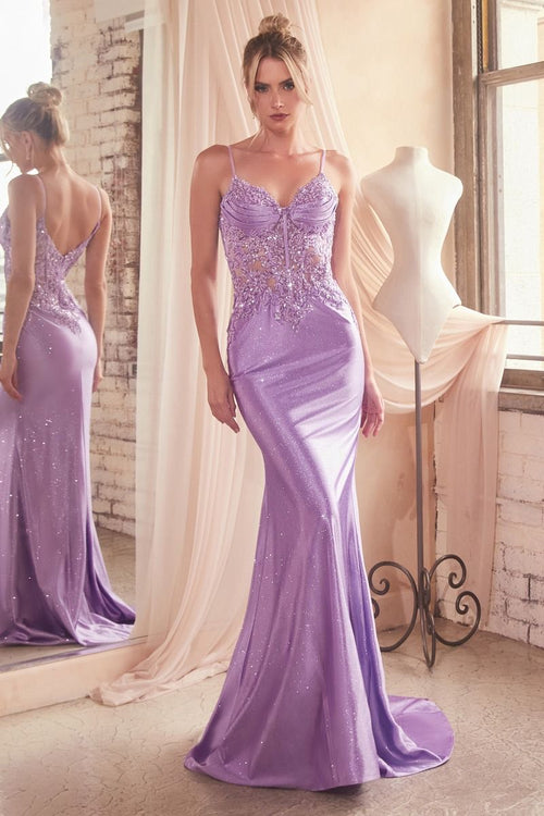 Jodie Gown - Fitted Lace Appliqué Evening Dress