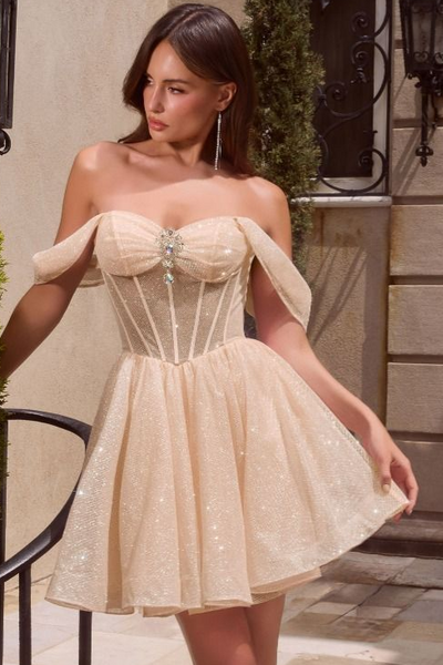 Audrina Mini Dress - Glitter Corset Cocktail Dress