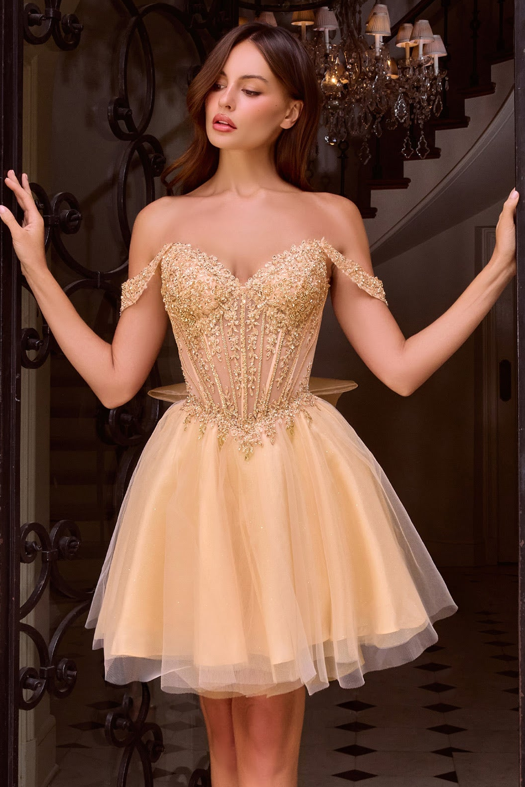 Carissa Mini Dress - Off Shoulder Tulle & Lace Dress | Lady Black Tie | Ladivine CD0246 Champagne