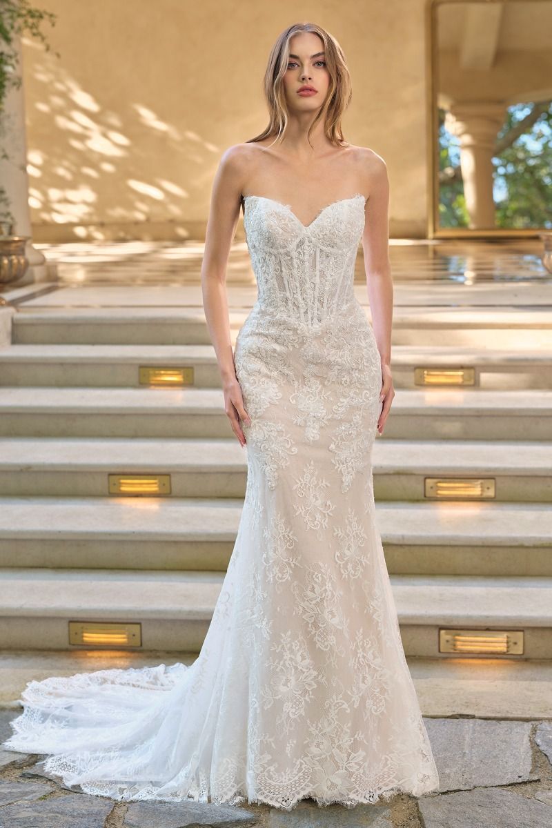 WL071 - Strapless Fit & Flare Wedding Gown with Bolero - Andrea & Leo