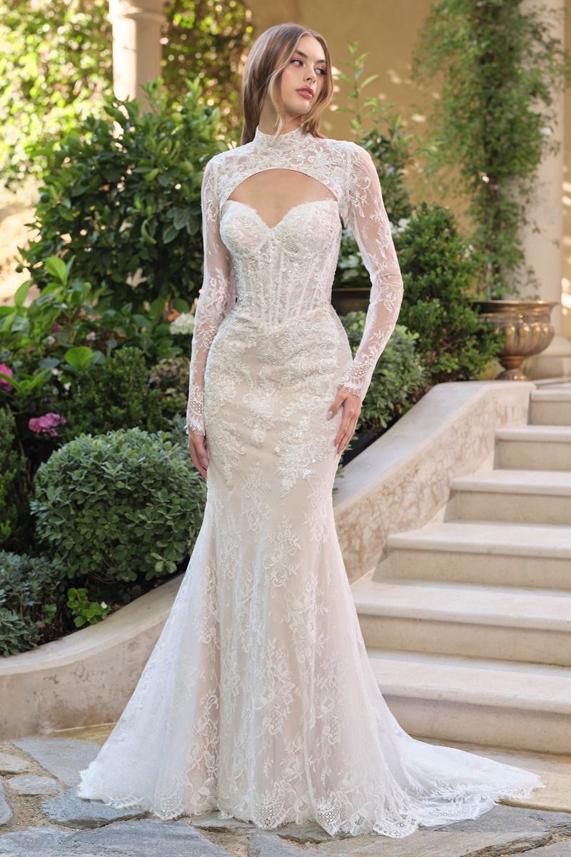 WL071 - Strapless Fit & Flare Wedding Gown with Bolero - Andrea & Leo