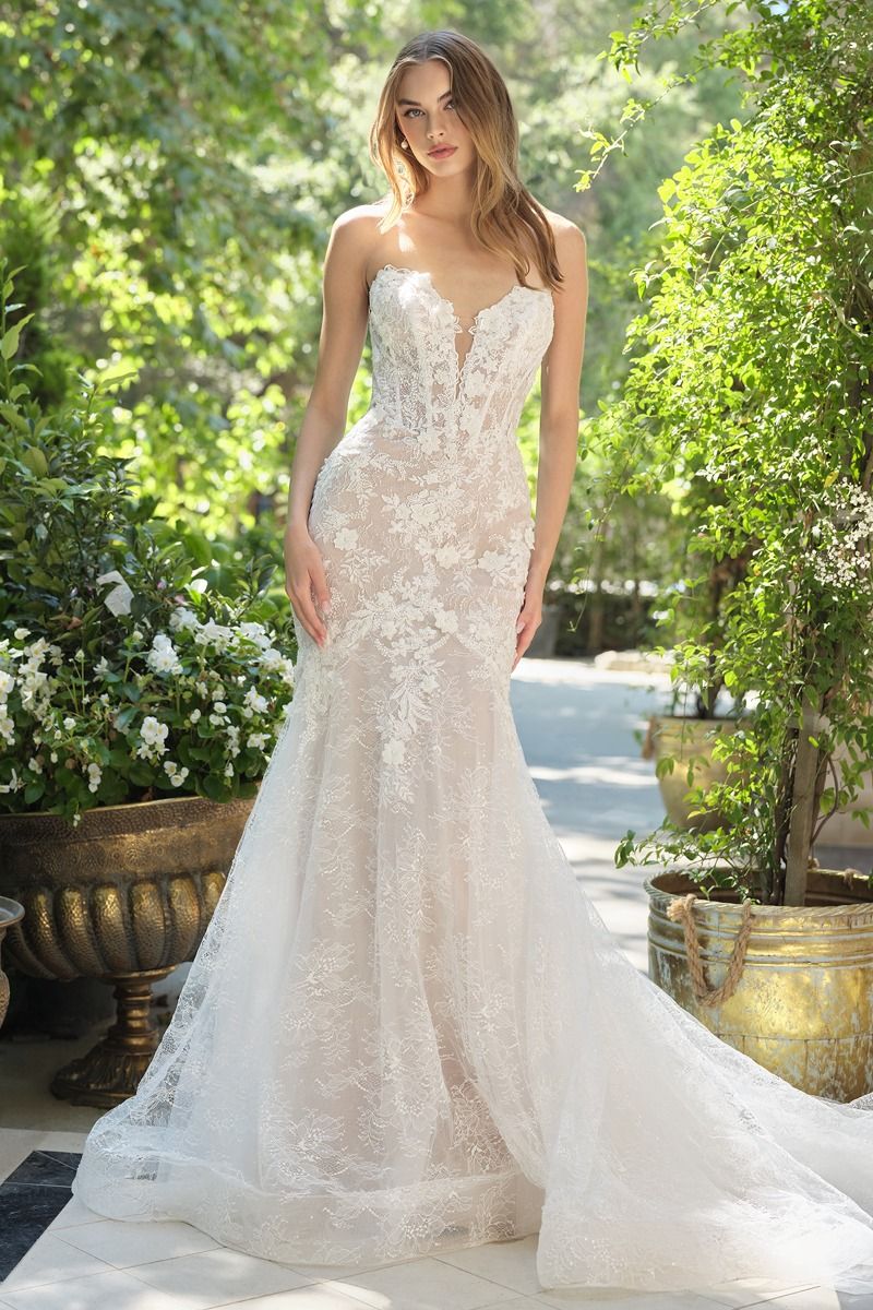 WL072 - Strapless Fit & Flare Wedding Gown - Andrea & Leo