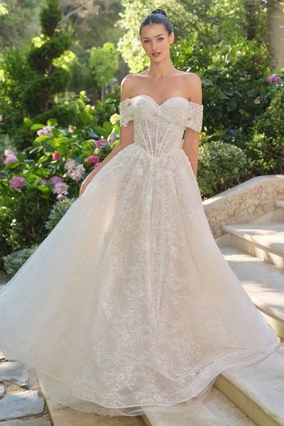 WL090 - Audrey Lace Ball Gown - Andrea & Leo